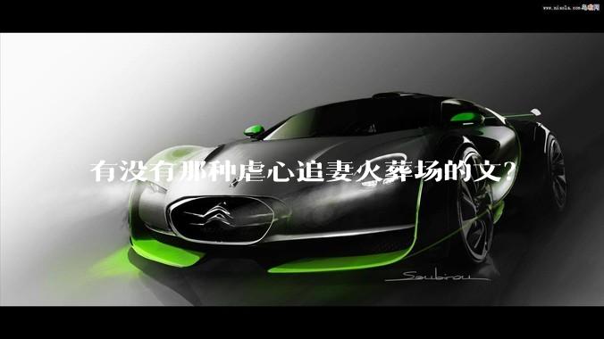 有没有那种虐心追妻火葬场的文？