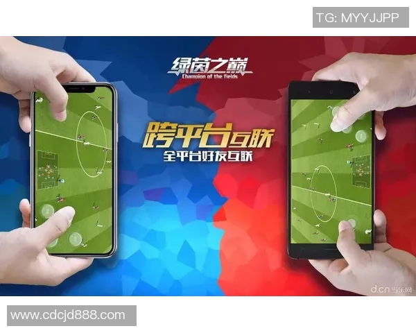 白金足球球星荣耀征程见证绿茵激情与辉煌梦想 白金足球球星荣耀征程见证绿茵激情与辉煌梦想