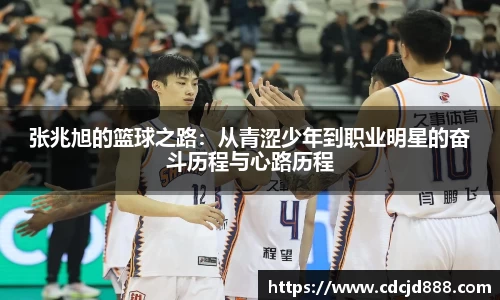 bb贝博官网